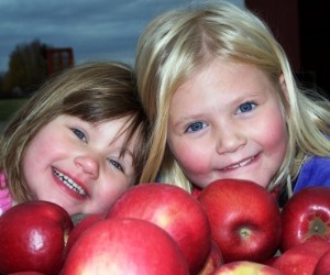 Zarpentine Farms New York Apple Kids 