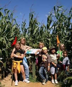 Tweit's Corn Maze Adventure in Minnesota