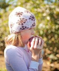 Cider Hill farm best Apples in Massachusetts