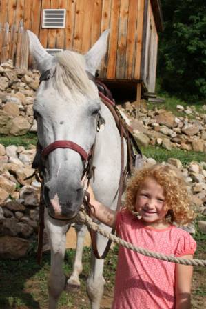French Broad River Ranch Horse Encounter