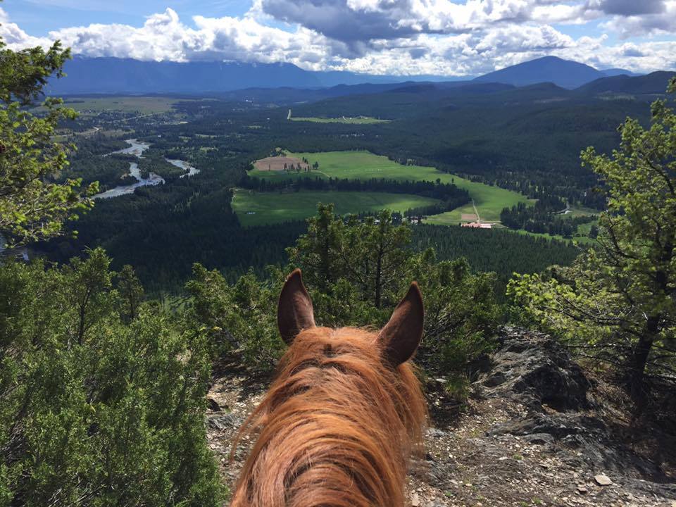 Three Bear Ranch Trail Ride British Columbia