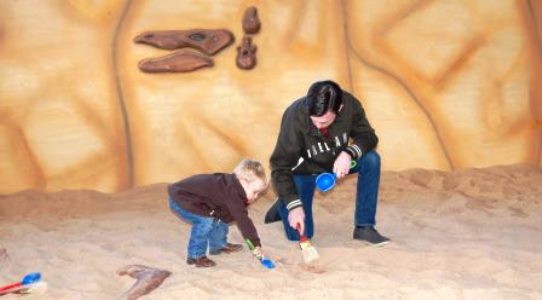 Dinosaur World Texas Boneyard Discoveries