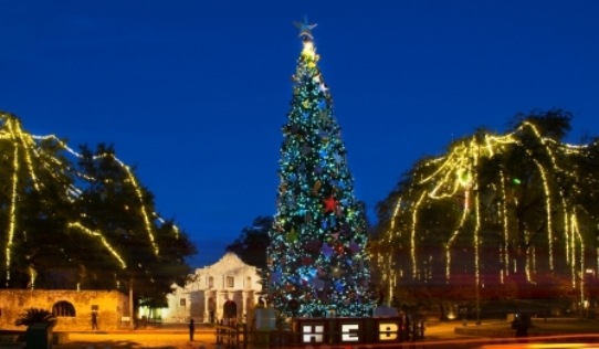 Alamo Christmas Tree San antonio Texas