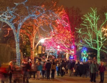 Lincoln Park ZooLights at Christmas in Chicago