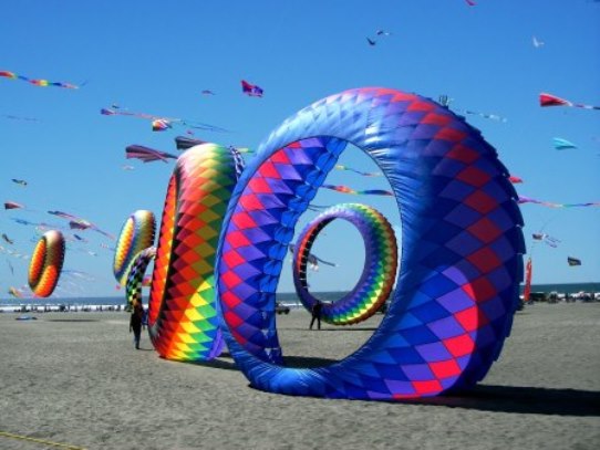 Long Beach Washington Kites on the Beach