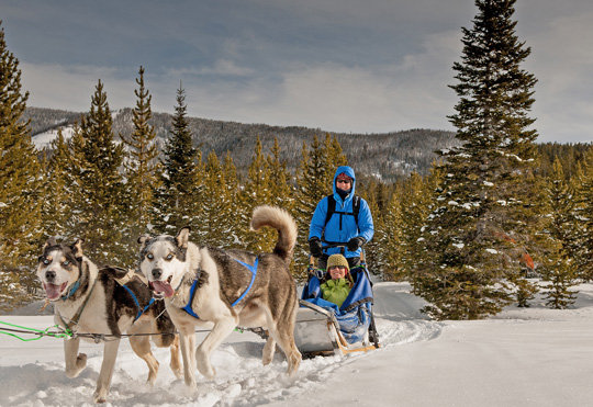 spirit of the north dog sled adventures