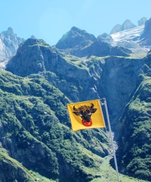 Swiss Alps  Canton Flag Marks the Way